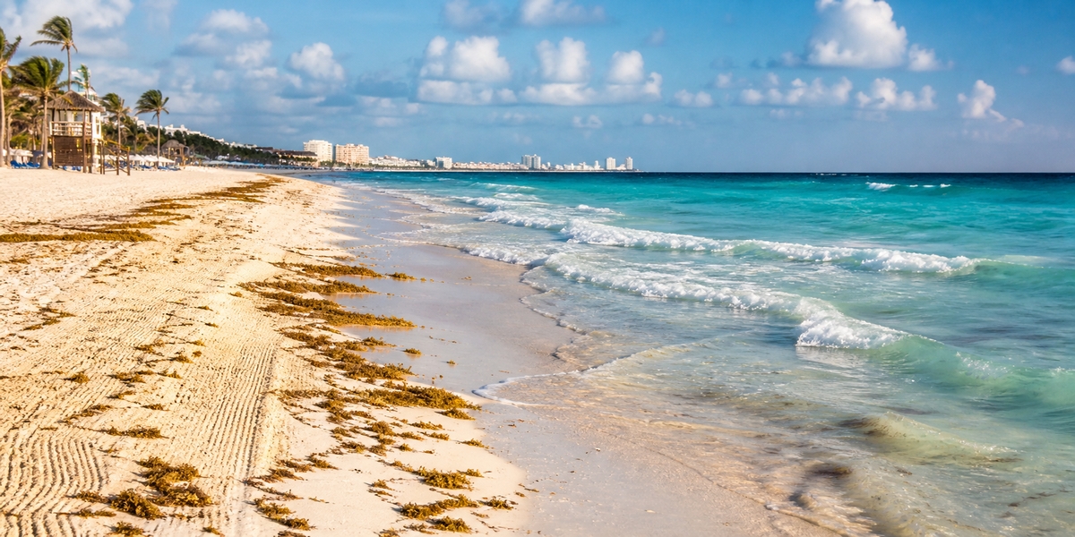 Riviera Maya beach with seasonal sargassum showing why current seaweed reports matter